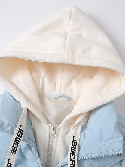 Thick Winter Hooded Puffer Jacket (Layered Style / Streetwear)